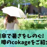 Thumbnail of post image 048